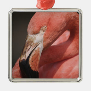 Chilenareflamingo, Phoenicopterus chilensis Julgransprydnad Metall