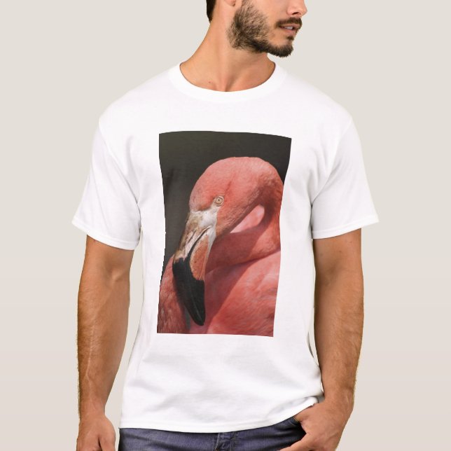 Chilenareflamingo, Phoenicopterus chilensis Tee Shirt (Framsida)