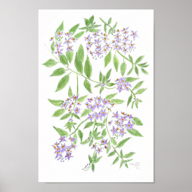 Chilenisk potatisträd kudde poster (Framsidan)