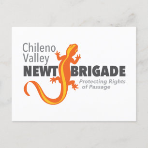 Chileno Valley Newt Brigade Vykort