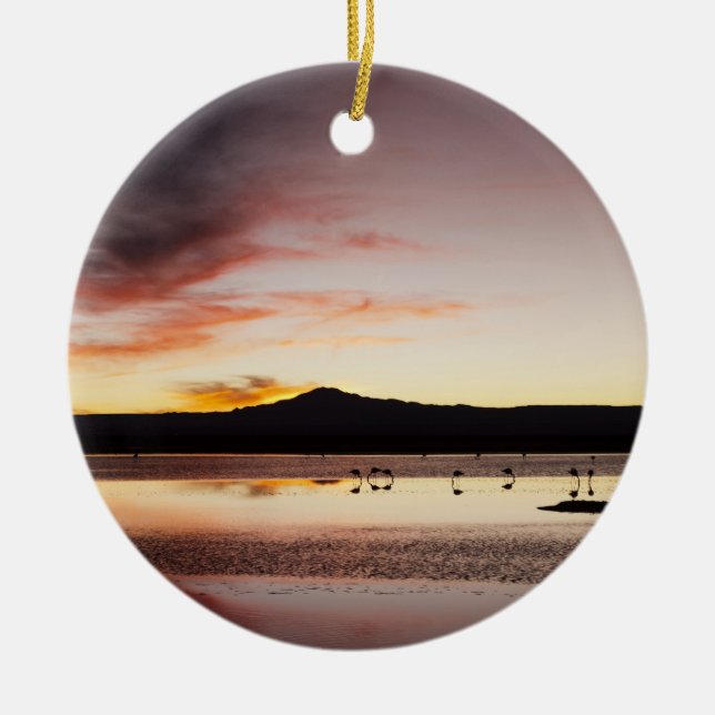 Chilensk flamingo julgransprydnad keramik (Framsidan)