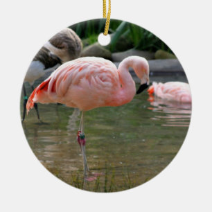 Chilensk Flamingo Julgransprydnad Keramik