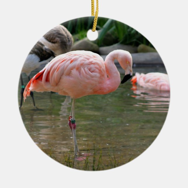 Chilensk Flamingo Julgransprydnad Keramik (Framsidan)
