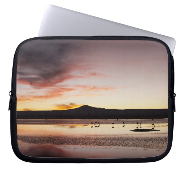 Chilensk flamingo laptop sleeve (Framsidan)