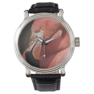 Chilensk flamingo, Phoenicopterus chilensis Armbandsur
