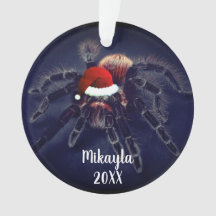 Chiles Ro Hair Tarantula i Santa Hat