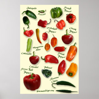 Chili ID-Poster Poster