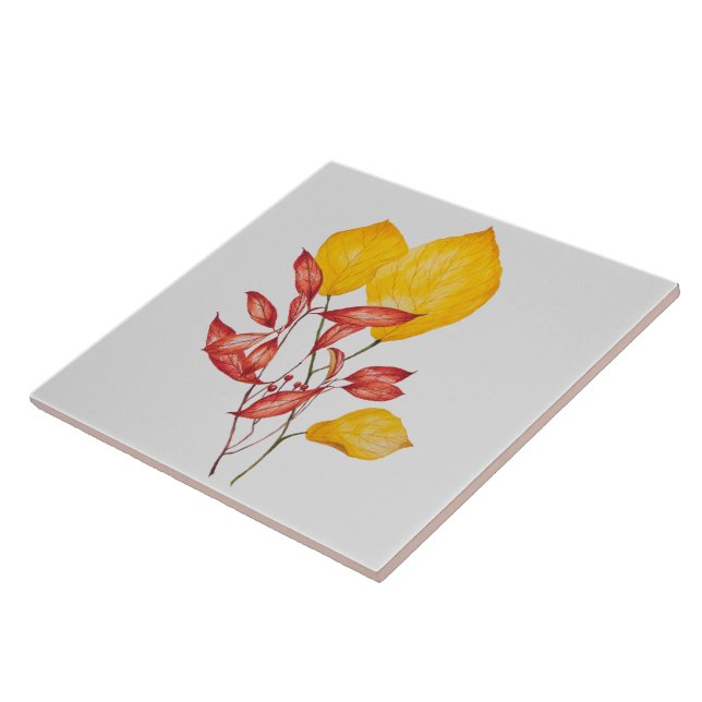 Chili och Turmeric på en keramisk platta Kakelplatta (Sidan)