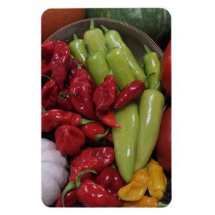 Chili Peppers m.m. Magnet