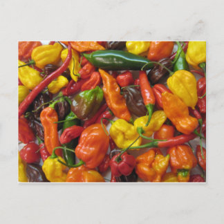 Chili Pile Vykort