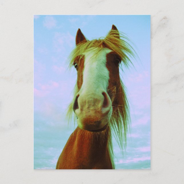 Chili Vykort (Framsida)