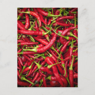 Chilies Vykort