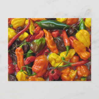 Chilihead-kort Vykort