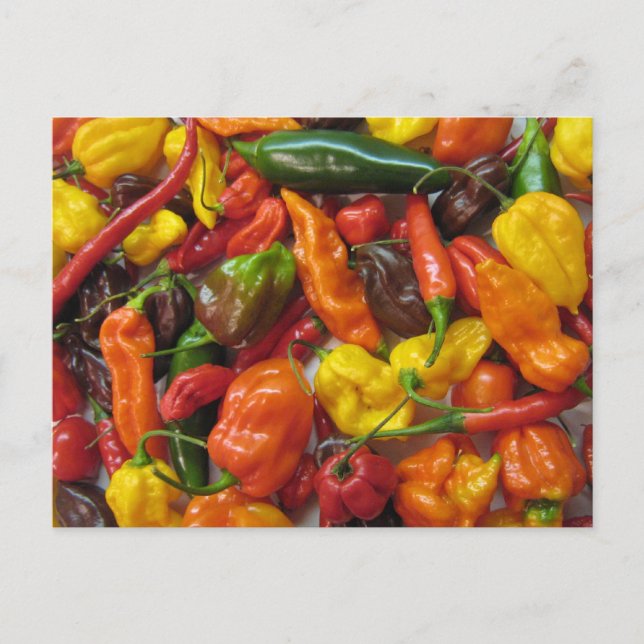 Chilihead-kort Vykort (Framsida)