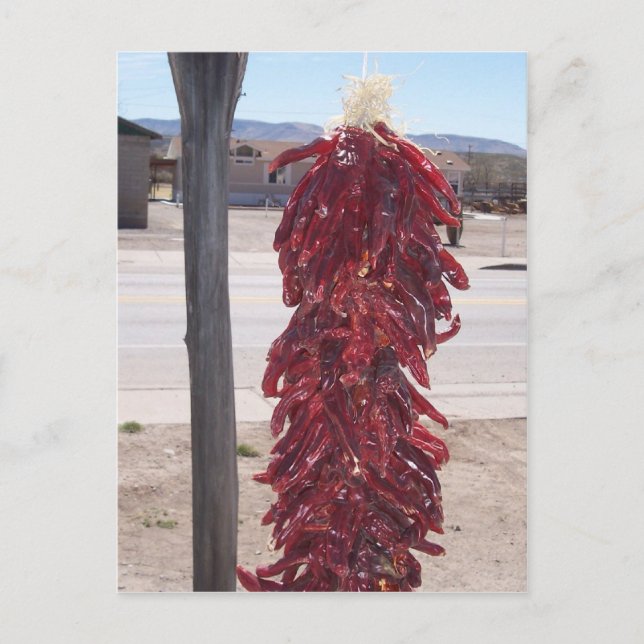 chilipeppar av röd hett i Hatch New mexico Vykort (Framsida)