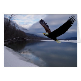 Chilkat Eagle Reserve-kort Hälsningskort