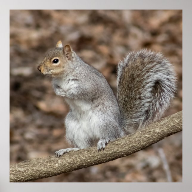 Chill Poster (Framsidan)