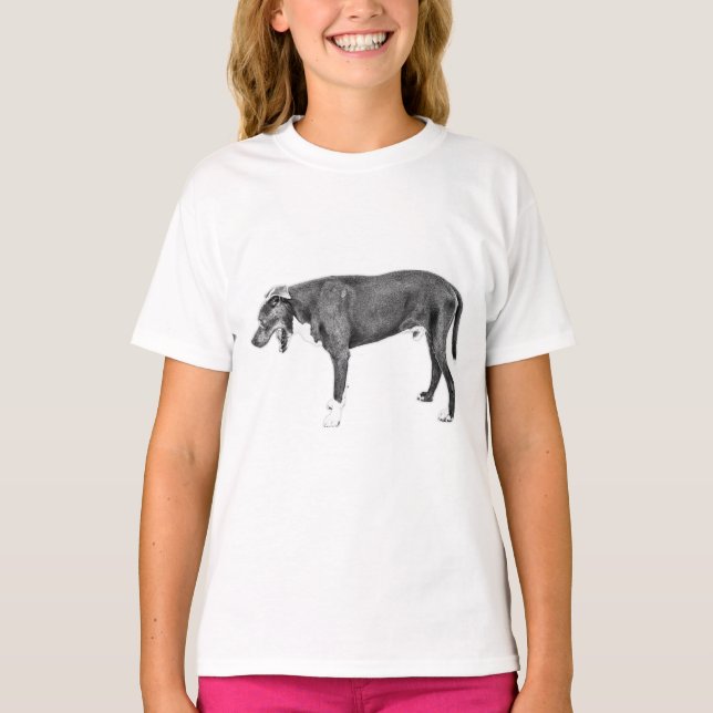 Chill Stride: Bully Mix in Black & White T Shirt (Framsida)
