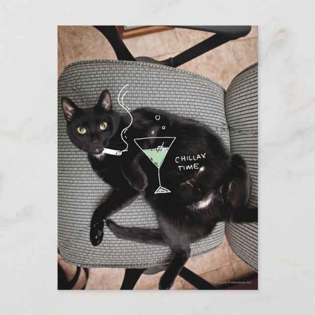 Chillax Cat Vykort (Framsida)