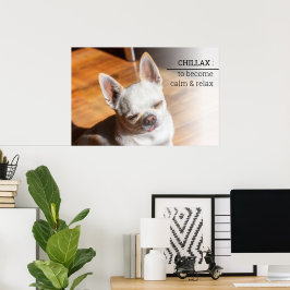 Chillax Chihuahua sömnig uppmjukat tunga ut Foto Poster