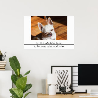 Chillax Chihuahua sömnig uppmjukat tunga ut Foto Poster