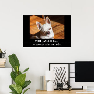 Chillax Chihuahua sömnig uppmjukat tunga ut Foto Poster