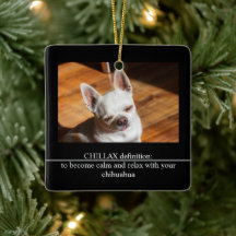 CHILLAX definition lugna koppla chihuahua foto tex