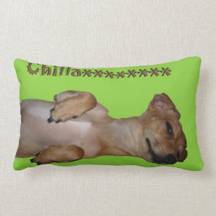 Chillaxin Chiweenie Lumbardekorativ kudde