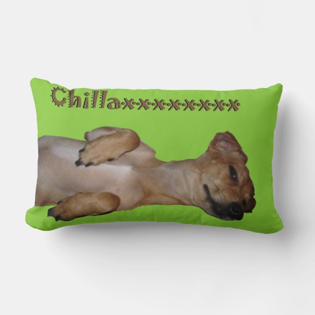 Chillaxin Chiweenie Lumbardekorativ kudde (Framsida)