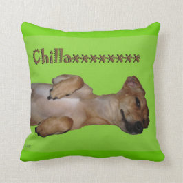 Chillaxin Chiweenie Lumbardekorativ kudde