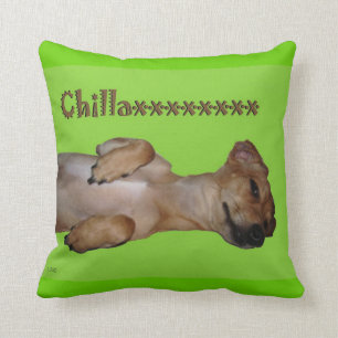 Chillaxin Chiweenie Lumbardekorativ kudde