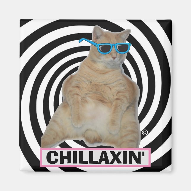 CHILLAXIN" Fet Manx Katt med Solglasögon Magnet (Framsidan)