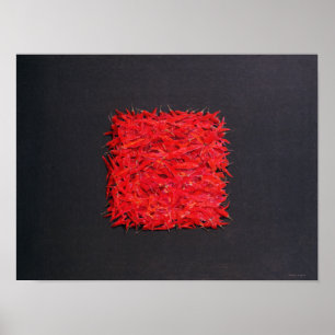 Chillies Poster