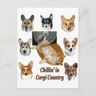 Chillin' i Corgi Land Vykort