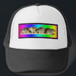 Chilling African Hyrax Keps<br><div class="desc">Jag träffade Hyraxes när de besökte Afrikan och de stal mitt hjärta helt. Jag hittade dem på en restaurangbalkong,  helt avslappnade och helt opåverkade av omvärlden. Att se dem var oändligt underhållande - de har har till den här kylda charmen som inte går att undvika för kärlek.</div>