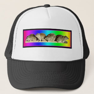 Chilling African Hyrax Keps