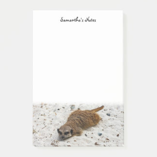 Chillin'Meerkat Post-it Notes