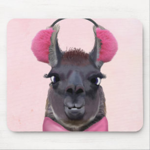 Chilly Llama Rosa Musmatta