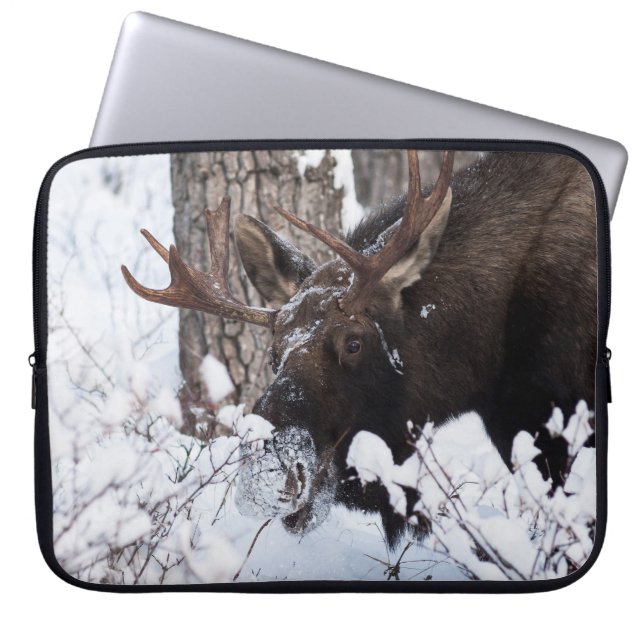Chilly Moose Laptop Fodral (Framsidan)