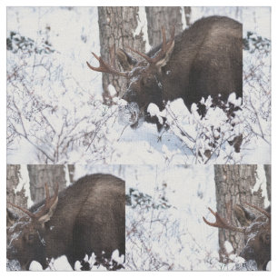 Chilly Moose Tyg