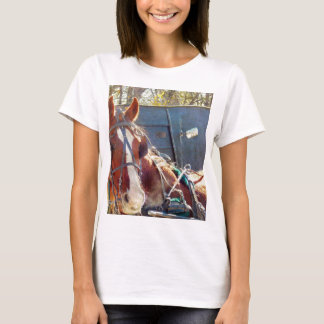 Chilly MorgAmish Horse T-shirt