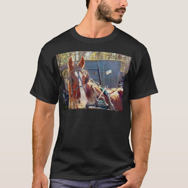 Chilly MorgAmish Horse Tee (Framsida)