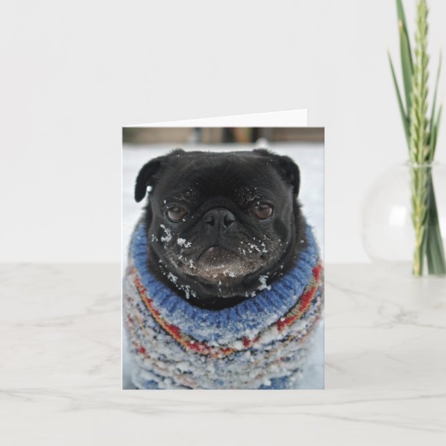 Chilly Pug Note Card - tomt Kort (Framsida)