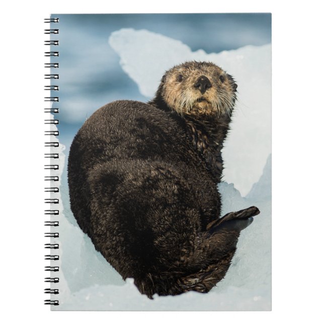 Chilly Sea Otter Anteckningsbok (Framsidan)