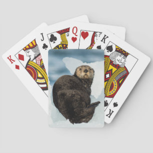 Chilly Sea Otter Casinokort