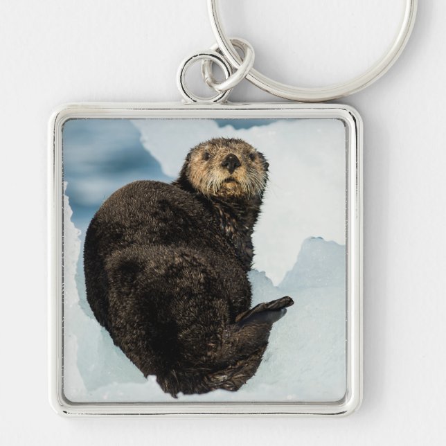 Chilly Sea Otter Fyrkantig Silverfärgad Nyckelring (Framsidan)