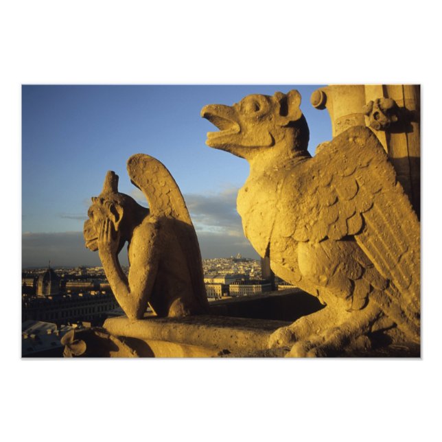 Chimera, re Dame-katedralen, Paris, Frankrike Fototryck (Framsidan)
