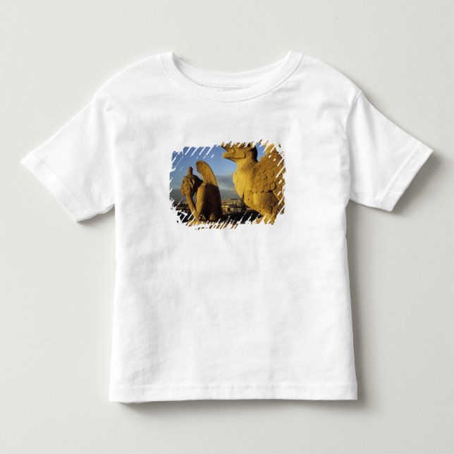 Chimera, re Dame-katedralen, Paris, Frankrike T Shirt (Framsida)