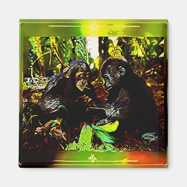 Chimp and Gorilla Cooperation 02. Magnet (Framsidan)