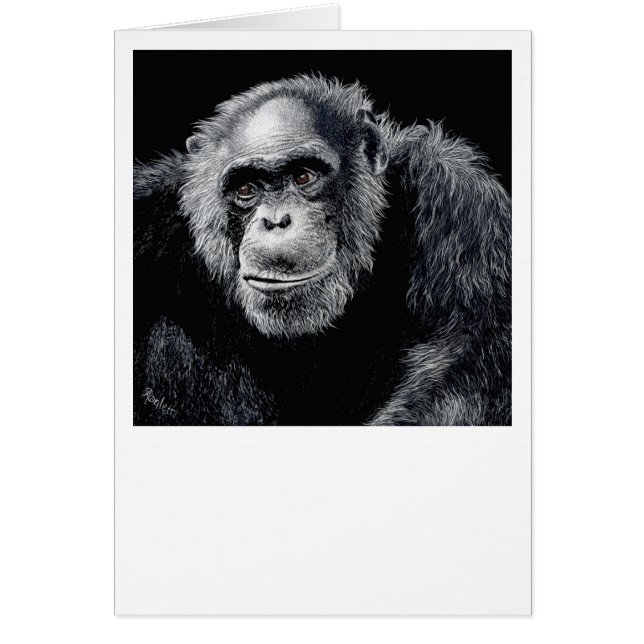 Chimp Card - "Jacob" OBS Kort (Framsidan)